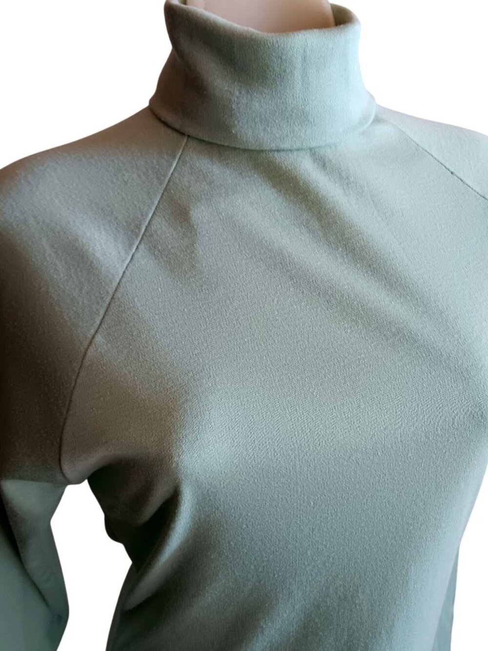 True Vintage Top Large Mint Green Turtleneck TopSingle Stitch Long Sleeve 1970's
